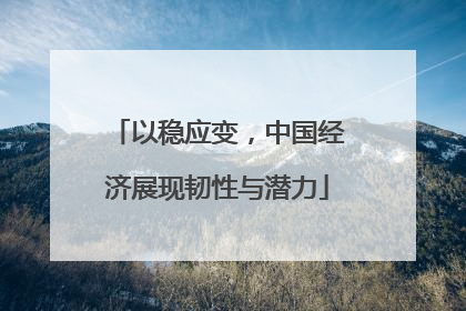 以稳应变，中国经济展现韧性与潜力
