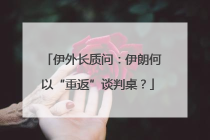 伊外长质问：伊朗何以“重返”谈判桌？