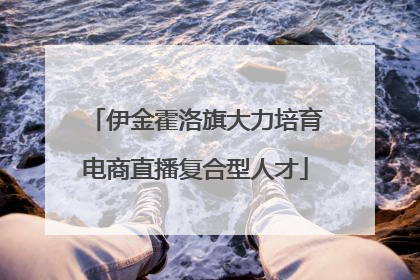 伊金霍洛旗大力培育电商直播复合型人才