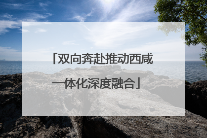 双向奔赴推动西咸一体化深度融合
