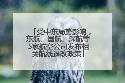 受中东局势影响，东航、国航、深航等5家航空公司发布相关航线退改政策