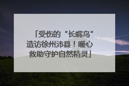 受伤的“长嘴鸟”造访徐州沛县！暖心救助守护自然精灵
