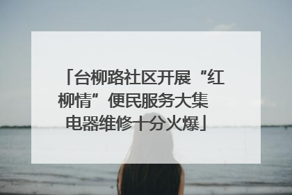 台柳路社区开展“红柳情”便民服务大集 电器维修十分火爆