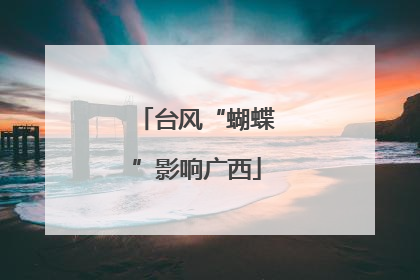 台风“蝴蝶”影响广西