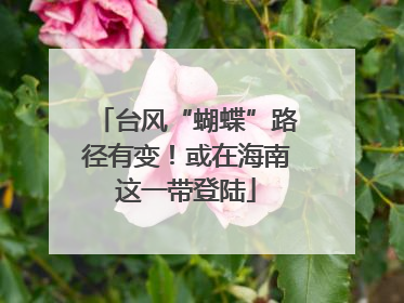 台风“蝴蝶”路径有变！或在海南这一带登陆