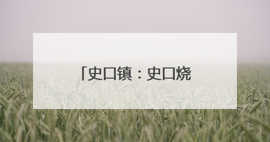 史口镇：史口烧鸡香飘黄河大集 传统美食受热捧