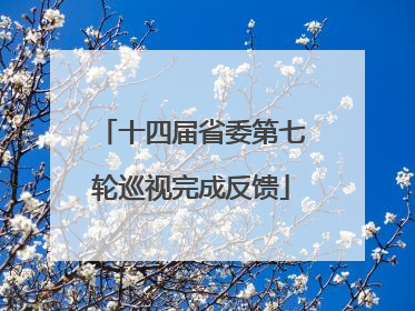 十四届省委第七轮巡视完成反馈