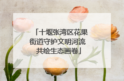 十堰张湾区花果街道守护文明河流 共绘生态画卷