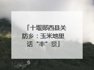十堰郧西县关防乡：玉米地里话“丰”景