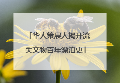 华人策展人揭开流失文物百年漂泊史