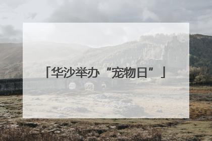 华沙举办“宠物日”