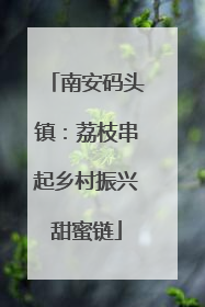 南安码头镇：荔枝串起乡村振兴甜蜜链