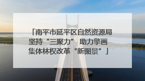 南平市延平区自然资源局坚持“三聚力” 助力擎画集体林权改革“新图景”