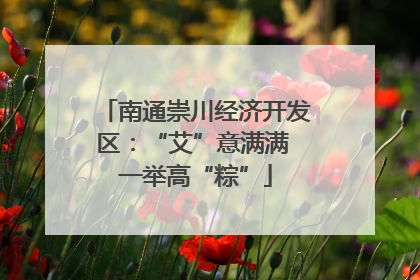 南通崇川经济开发区：“艾”意满满 一举高“粽”