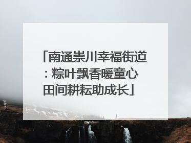 南通崇川幸福街道：粽叶飘香暖童心 田间耕耘助成长