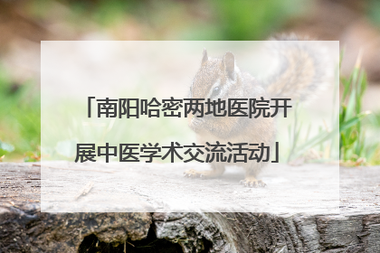 南阳哈密两地医院开展中医学术交流活动