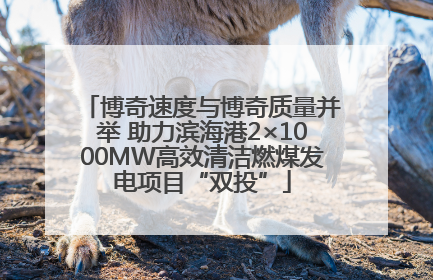 博奇速度与博奇质量并举 助力滨海港2×1000MW高效清洁燃煤发电项目“双投”