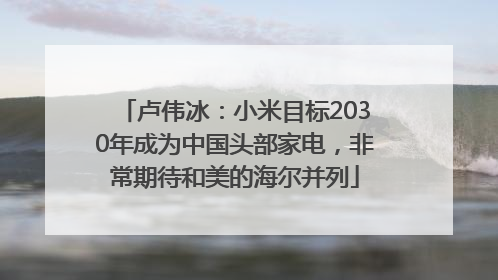 卢伟冰：小米目标2030年成为中国头部家电，非常期待和美的海尔并列