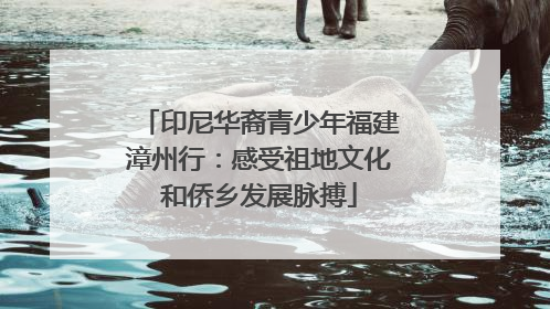 印尼华裔青少年福建漳州行：感受祖地文化和侨乡发展脉搏