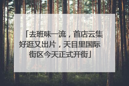 去班味一流，首店云集好逛又出片，天目里国际街区今天正式开街