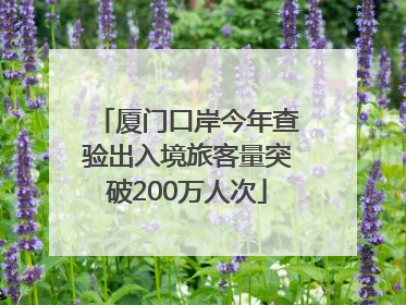 厦门口岸今年查验出入境旅客量突破200万人次