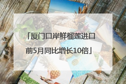 厦门口岸鲜榴莲进口 前5月同比增长10倍