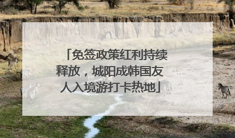 免签政策红利持续释放，城阳成韩国友人入境游打卡热地
