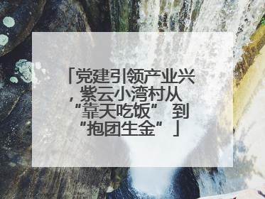 党建引领产业兴，紫云小湾村从 “靠天吃饭” 到 “抱团生金”