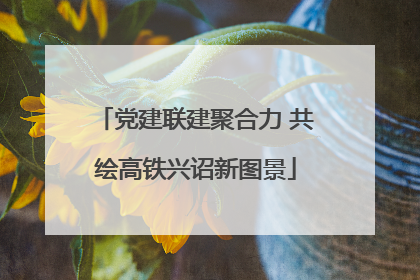 党建联建聚合力 共绘高铁兴诏新图景