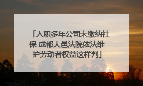 入职多年公司未缴纳社保 成都大邑法院依法维护劳动者权益这样判