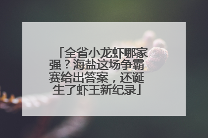 全省小龙虾哪家强？海盐这场争霸赛给出答案，还诞生了虾王新纪录