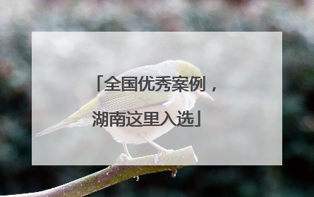 全国优秀案例，湖南这里入选