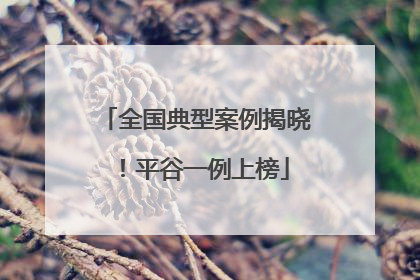 全国典型案例揭晓！平谷一例上榜