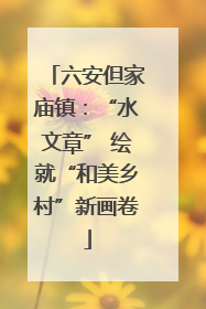 六安但家庙镇：“水文章” 绘就“和美乡村”新画卷