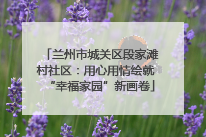 兰州市城关区段家滩村社区：用心用情绘就“幸福家园”新画卷