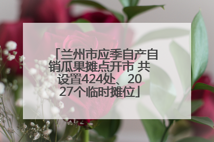 兰州市应季自产自销瓜果摊点开市 共设置424处、2027个临时摊位