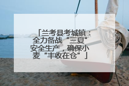 兰考县考城镇：全力备战“三夏”安全生产，确保小麦“丰收在仓”