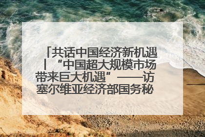 共话中国经济新机遇丨“中国超大规模市场带来巨大机遇”——访塞尔维亚经济部国务秘书尼科利奇