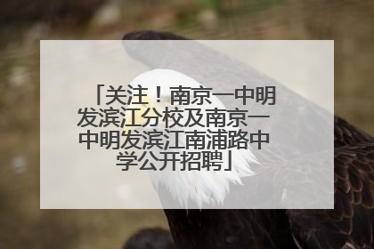 关注！南京一中明发滨江分校及南京一中明发滨江南浦路中学公开招聘