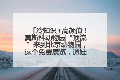 冷知识+高颜值！莫斯科动物园“顶流”来到北京动物园，这个免费展览，遛娃拍照两不误！