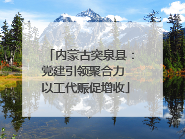 内蒙古突泉县：党建引领聚合力 以工代赈促增收