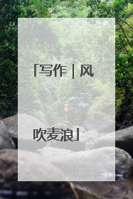 写作｜风吹麦浪