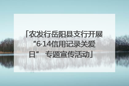 农发行岳阳县支行开展“6·14信用记录关爱日” 专题宣传活动