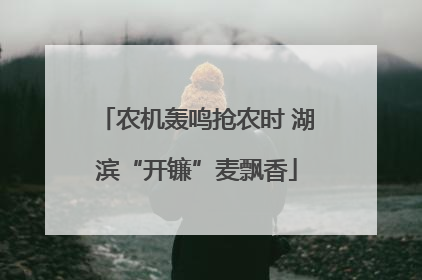 农机轰鸣抢农时 湖滨“开镰”麦飘香