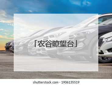 农谷瞭望台