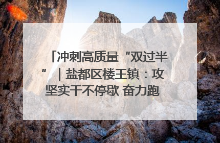 冲刺高质量“双过半”｜盐都区楼王镇：攻坚实干不停歇 奋力跑赢“上半场”