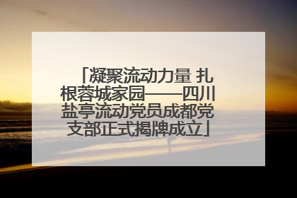 凝聚流动力量 扎根蓉城家园——四川盐亭流动党员成都党支部正式揭牌成立