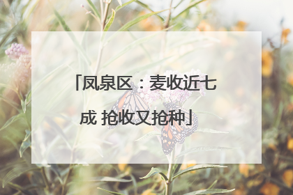 凤泉区：麦收近七成 抢收又抢种