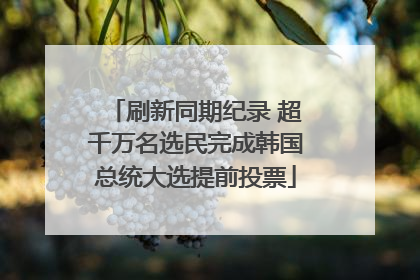 刷新同期纪录 超千万名选民完成韩国总统大选提前投票