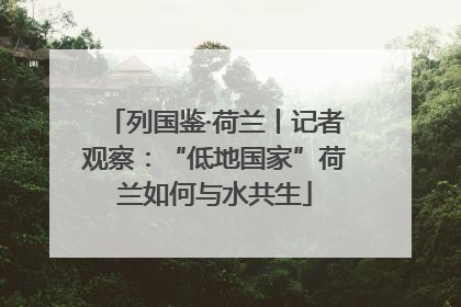 列国鉴·荷兰丨记者观察：“低地国家”荷兰如何与水共生